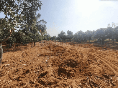 Project Image of 1212.45 - 5942.43 Sq.ft Residential Plot Plot for buy in Shreyas Natures Sign