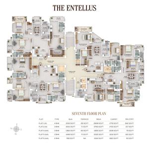 Project Image of 662.0 - 1779.0 Sq.ft 2 BHK Apartment for buy in The Entellus