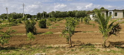 Project Image of 2727.0 - 5445.0 Sq.ft Residential Plot Plot for buy in Sreerama Nisarga