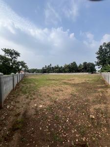 Project Image of 435.0 - 3049.0 Sq.ft Residential Plot Plot for buy in Ecovistalife Mount Shadows