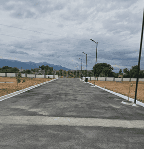 Project Images