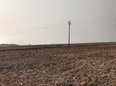 Project Image of 1000.0 - 10000.0 Sq.ft Residential Plot Plot for buy in Shreya Plot In Pali Raigad