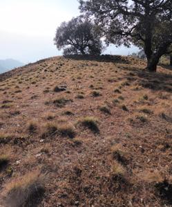 Project Image of 900.0 - 1800.0 Sq.ft Residential Plot Plot for buy in Sunhil Rishigram