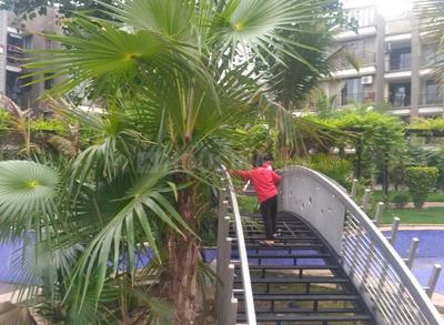Project Image of 1422 Sq.ft 3 BHK Apartment / Flat for sale in Sughad for Rs. 8000000