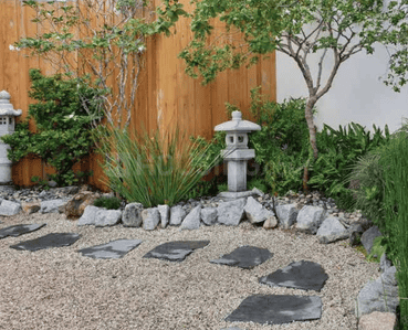 Pardis Shingadia Landscape Garden and Tree Planting 1