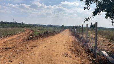 Project Image of 5178.0 - 11433.0 Sq.ft Residential Plot Plot for buy in PK Mango Nest Farmlands
