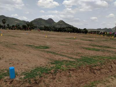 Project Image of 1106.96 - 5288.63 Sq.ft Residential Plot Plot for buy in Kallam Green City