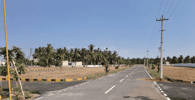 Project Images