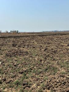 Gallery Cover Pic of Invest Mahamumbai Plots In Khopate
