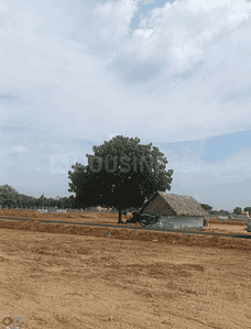 Project Images