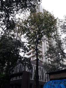 Project Image of 498.0 - 1253.0 Sq.ft 1 BHK Apartment for buy in Maverick Neelkanth Tirth CHSL