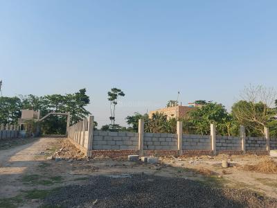 Project Image of 1440.0 - 2160.0 Sq.ft Residential Plot Plot for buy in Southview Star City