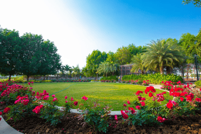 Project Image of 0.0 - 40493.83 Sq.ft Residential Plot Plot for buy in Chhattisgarh River County 06
