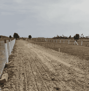 Project Images