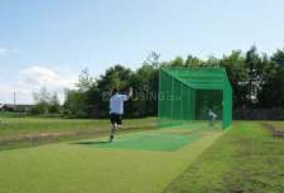 Fenway Signature City 1 Cricket arena 1