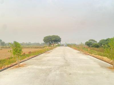 Project Image of 720.0 - 1800.0 Sq.ft Residential Plot Plot for buy in Khatu Dham Enclave