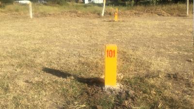 Project Image of 1440.0 - 3600.0 Sq.ft Residential Plot Plot for buy in Peram Aditya Varna