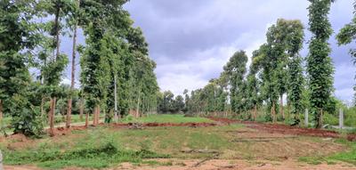 Project Image of 5445.0 - 10890.0 Sq.ft Residential Plot Plot for buy in Krushika Thusha Farms