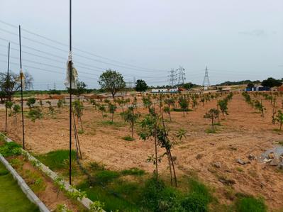 Project Image of 1500.06 - 18779.47 Sq.ft Residential Plot Plot for buy in Silpa Botanica