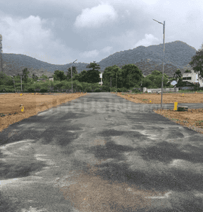 Project Images
