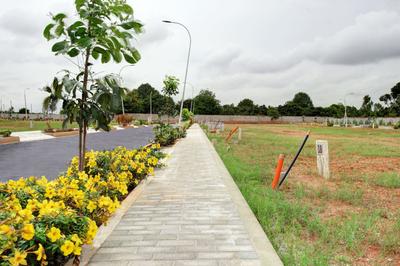 Project Image of 1128.0 - 2400.0 Sq.ft Residential Plot Plot for buy in Merusri Springs