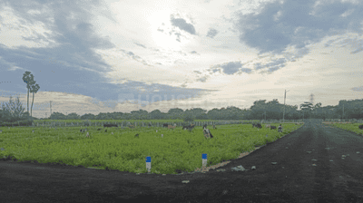 Project Images