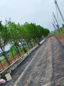 Project Image of 1210.0 - 2152.0 Sq.ft Residential Plot Plot for buy in ARSHA GREENS