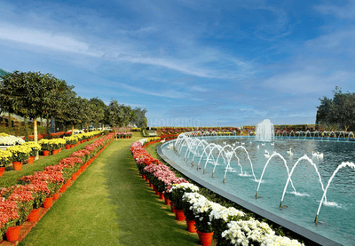 Project Image of 1569 Sq.ft 3.5 BHK Builder Floor for sale in Sector 32 for Rs. 25000000