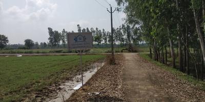 Project Image of 600.0 - 5000.0 Sq.ft Residential Plot Plot for buy in Unite Vision Vatican City