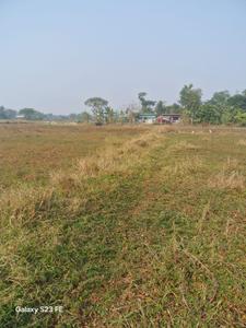 Project Image of 0.0 - 720.0 Sq.ft Residential Plot Plot for buy in Deblata