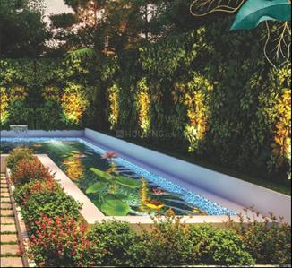 Project Image of 1084.79 - 24098.14 Sq.ft Residential Plot Plot for buy in Urban Passport