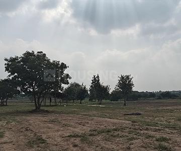 Project Image of 3595.15 - 48599.06 Sq.ft Residential Plot Plot for buy in Ridge Kshetra