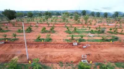 Project Image of 1350.0 - 2700.0 Sq.ft Residential Plot Plot for buy in Arising Peacock Valley