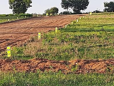 Project Image of 1578.64 - 4494.58 Sq.ft Residential Plot Plot for buy in Building Indigold 9 Phase 4