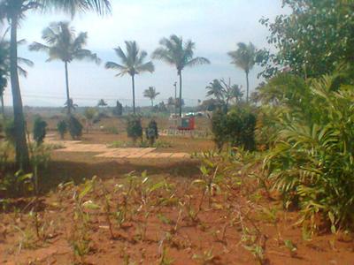 Project Image of 1108.0 - 2400.0 Sq.ft Residential Plot Plot for buy in Shriram Godhuli