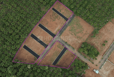 Project Images