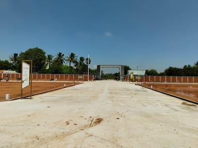 Project Images