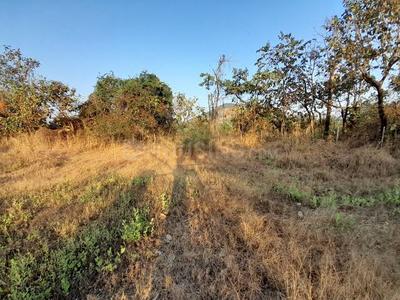 Project Image of 1000.0 - 3000.0 Sq.ft Residential Plot Plot for buy in Bhoomi Plots In Jambhulpada