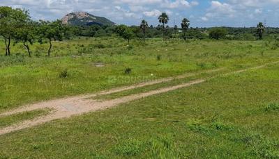 Project Image of 1593.06 - 5349.66 Sq.ft Residential Plot Plot for buy in GK Renuka Highway City