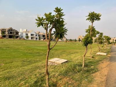 Project Image of 900.0 - 10000.0 Sq.ft Residential Plot Plot for buy in Mauli Nagar 09 Sector A
