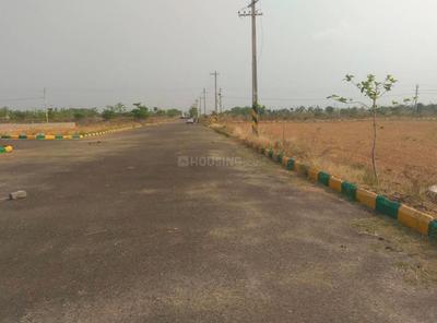 Project Image of 100.0 - 3048.45 Sq.ft Residential Plot Plot for buy in Subha Maple Meadows