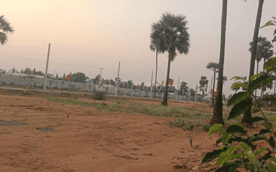 Project Image of 1350.0 - 3150.0 Sq.ft Residential Plot Plot for buy in Assured Infinity Meadows