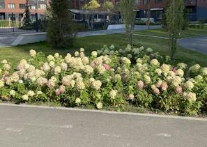 Project Image of 825.81 - 31049.04 Sq.ft Residential Plot Plot for buy in Urban Green View