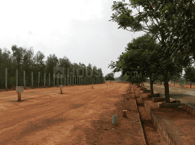 Project Images