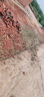 Project Image of 684.0 - 900.0 Sq.ft Residential Plot Plot for buy in Ratan Vihar Plots
