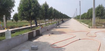 Project Image of 1188.0 - 5958.0 Sq.ft Residential Plot Plot for buy in Srika LR Song Of The South