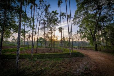 Project Image of 5500.0 - 11000.0 Sq.ft Residential Plot Plot for buy in Lost In The Woods