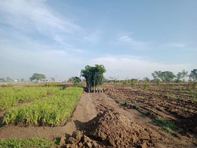 Project Image of 2178.0 - 5445.0 Sq.ft Residential Plot Plot for buy in PAMENA GREENS