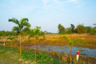 Project Image of 720.0 - 2880.0 Sq.ft Residential Plot Plot for buy in Rupbasuda Green Plaza