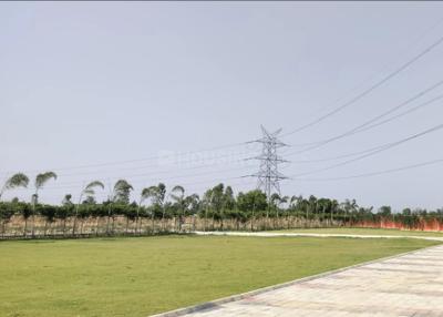 Project Image of 1076.39 - 5381.96 Sq.ft Residential Plot Plot for buy in Agrasheel Aashrayam Phase 2